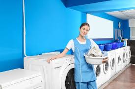 Bất ngờ thu nhập ngành giặt là tại Đức